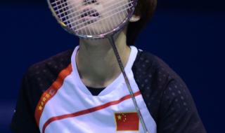 羽毛球亚锦赛赛况